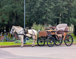 Horse and carriage