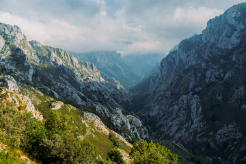 Dramatic view of steep rocky cliffs and deep valleys in Picos de Europa, layers of mountains fading into mist under a partly cloudy sky, lush greenery clinging to rugged slopes