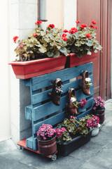 Colorful street flower arrangement in Asturias with vibrant geraniums in red and pink, rustic blue...