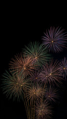 静かな夜空を鮮烈な光で染め上げる日本の夏の打ち上げ花火を描いたアート。夜景、夏祭り、観光イベント、光の演出、背景素材、華やかなデザインや告知ビジュアルにも適合。