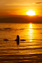 Silhouette of Woman with Crab Trap at Sunset in Kep