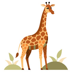 Obraz premium vector illustration of giraffe, neck down drinking, abstract