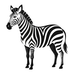 vector illustration of zebra, looking back, abstract