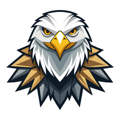 Fototapeta premium vector illustration of eagle, head portrait, abstract