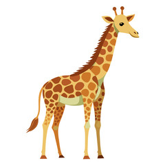 Fototapeta premium vector illustration of giraffe, neck down drinking, watercolor