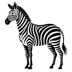 vector illustration of zebra, looking back, abstract