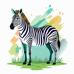 vector illustration of zebra, grazing, watercolor
