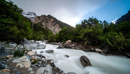 Mountain river flowing through lush greenery