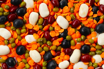 Colorful mixed beans and lentils, packed with plant-based protein and fiber