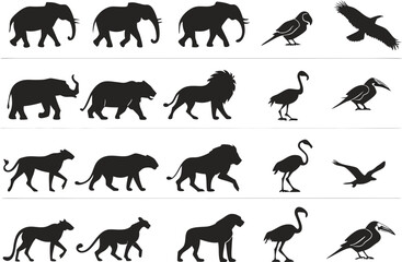 Fototapeta premium Collection of african wildlife silhouettes