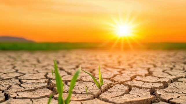 Celebrate World Environment Day by reflecting on the contrast between a parched desert and a vibrant green meadow. - Powered by Adobe