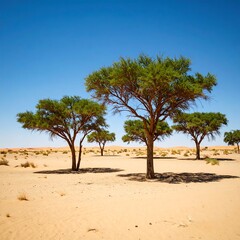 Desert landscape with trees