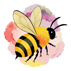 vector illustration of bee, on flower, watercolor