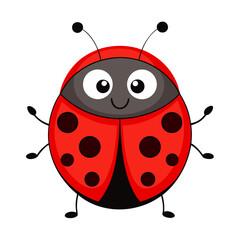 vector illustration of ladybug, top view, cartoon