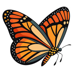 vector illustration of butterfly, side profile, flat design