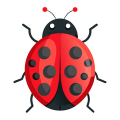 vector illustration of ladybug, top view, flat design