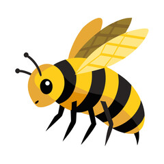 vector illustration of bee, carrying pollen, flat design