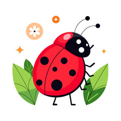 Fototapeta premium vector illustration of ladybug, side profile, flat design