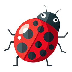 vector illustration of ladybug, side profile, flat design