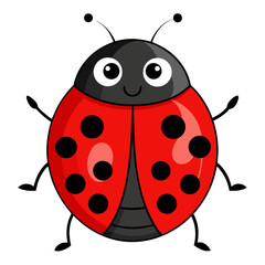 vector illustration of ladybug, top view, cartoon
