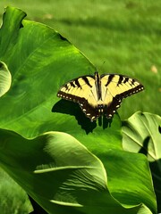 RemasterDirector_18da6b0cf