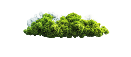 Green cloud-like shape with white highlights