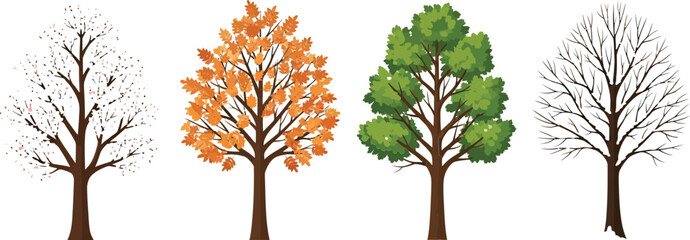 Vector art of four seasons trees illustration isolated on white background