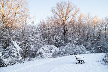  A tranquil winter scene showcasing a snow-covered bench amidst frosted trees and a serene, blanketed pathway under a clear sky
