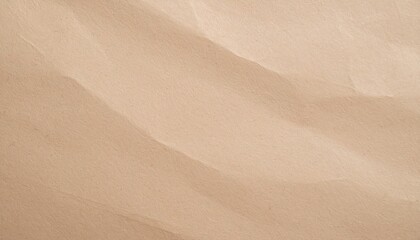 Textured Brown Paper Background