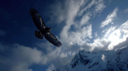 Fototapeta premium Majestic golden eagle soaring above snow-capped peaks