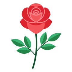 Obraz premium red rose with leaves