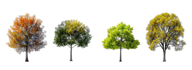 Four trees displaying the changing seasons