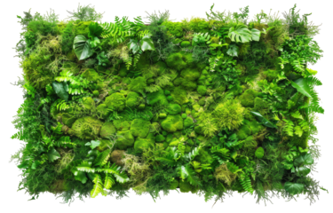 Lush green wall art.  A rectangular display of varied greenery, moss, and stones.  Framed by a textured border