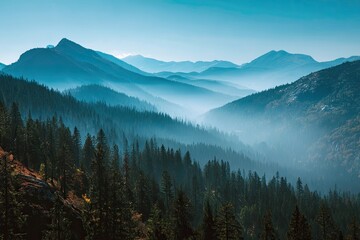 Obraz premium Misty mountain range, forest panorama, scenic view, hazy landscape, nature background, travel poster