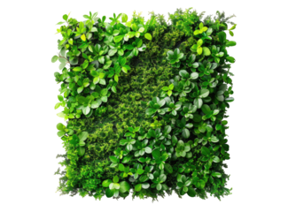 Square wall art, vibrant green foliage and moss