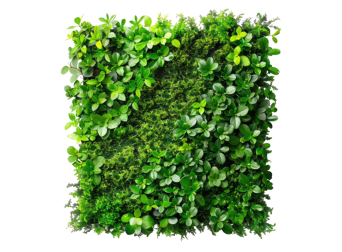 Square wall art, vibrant green foliage and moss