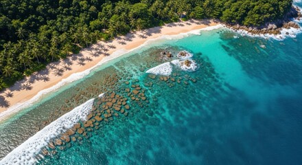Breathtaking Aerial View of Tropical Island Beach with Turquoise Ocean and Lush Palm Trees