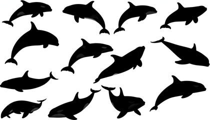 Orca whale silhouettes collection.