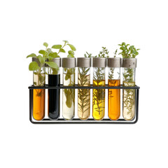 Aromatic Herbs and Oils in Test Tubes - Culinary Science Concept