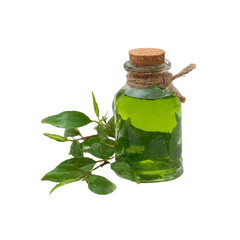 Green Herbal Essential Oil in Glass Bottle with Fresh Leaves