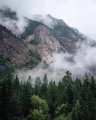 Misty mountain forest, scenic view, travel poster