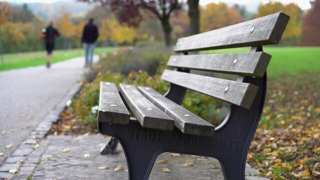 Medium shot of a bench in a park.