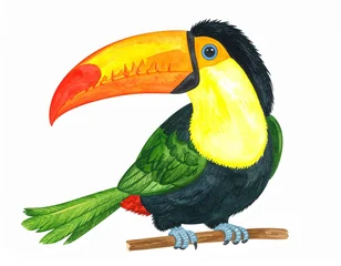 Plexiglas schilderij Toekan Cartoon happy toucan bird setisolated on white background  © MdRakibul