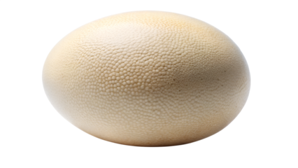 golden egg isolated on white