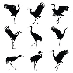 Naklejka premium crane bird silhouette set, Black & White silhouette set