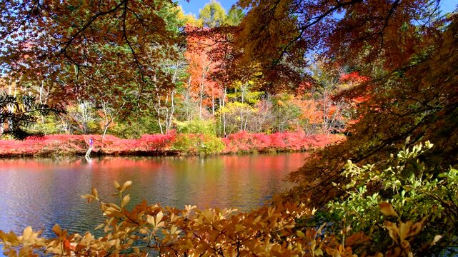 軽井沢にある雲場池の紅葉　長野県
