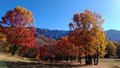 Obraz premium Autumn foliage panorama with mountains