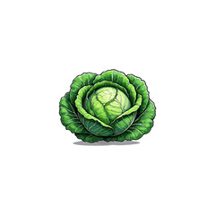 Illustration of a woman at her desk with a laptop, managing tasks and achieving success in a modern digital workspaceFresh green cabbage isolated on a white background, highlighting its organic leaves