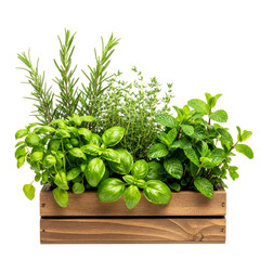 fresh herb garden in wooden crate perfect for culinary wellness branding