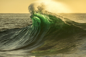 A powerful ocean wave breaks above a reef in the warm glow of sunrise on the South Coast of New South Wales, Australia.